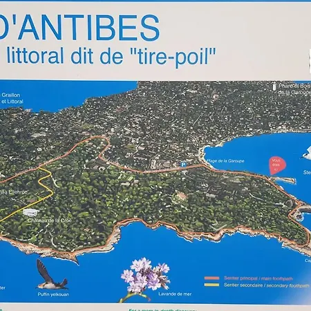 Joli *